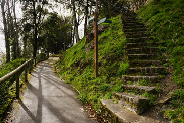 Dos caminos en la montaña © glizondo