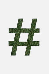 Obraz premium top view of cut out hashtag sign on green grass background isolated on white