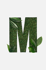 top view of cut out M letter on green grass background with leaves isolated on white