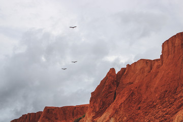 Cliffs look like Mars