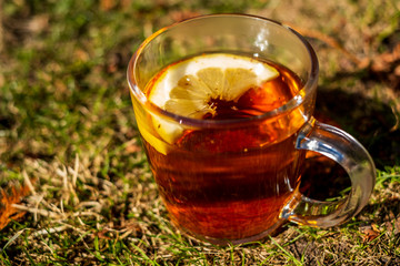 Glass of healthy tea with a lemon slice isolated outdoors with grass