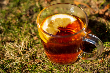Glass of healthy tea with a lemon slice isolated outdoors with grass