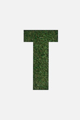 top view of cut out T letter on green grass background isolated on white