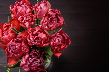 Boquet of red and pink tulips. Floral dark brown background with space for text