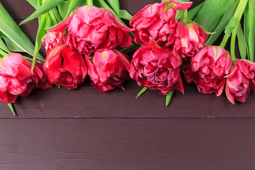 Boquet of red and pink tulips. Floral dark brown background with space for text