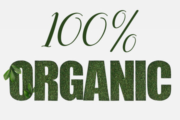 top view of 100 % organic lettering with green leaves isolated on white