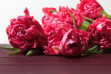 Spring red and pink tulips on white background. Wide panoramic floral border