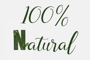 Obraz premium top view of 100 % natural lettering with green leaves isolated on white
