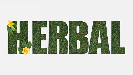 top view of cut out herbal lettering on green grass with yellow daffodils isolated on white