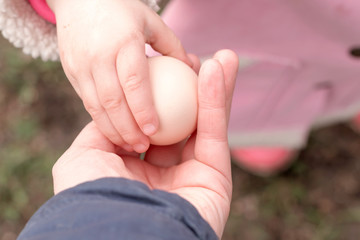 Little girl holds chicken eggs in hands. Easter time. Daughter gives egg to mother.