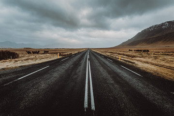 Fototapeta premium Iceland - Ringroad