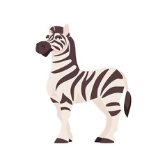 Zebra cartoon vector