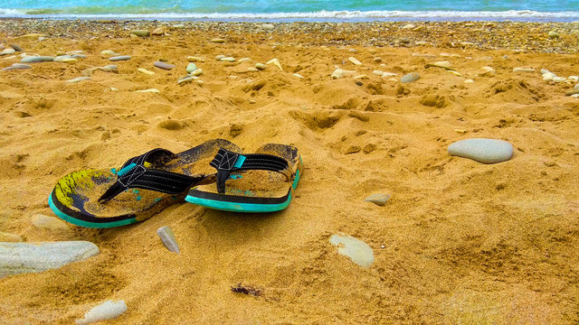 Summertime collors