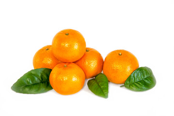 Tangerines are ripe juicy orange on white background.