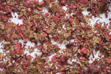 (Herb) image of red grape leaf