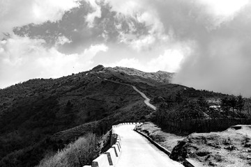 Road to Heaven