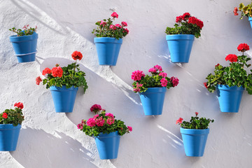 Fototapeta na wymiar Flower pots decorating on white wall in the old town of Marbella