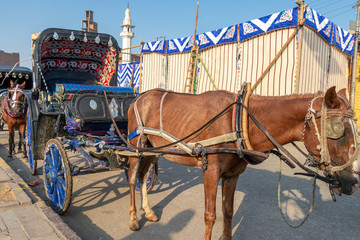 A horse carriage wait for customers next to the River Nile in Edfu. Horse carriages are the...