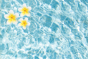 Blue water texture with tropic flowers top view. Pool water surface background