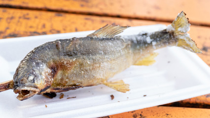 Grilled iwana or yamame fish