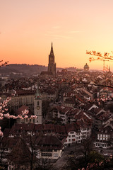 Fototapeta premium Sonnenuntergang während Kirschblüte in Bern mit Berner Münster und Altstadt
