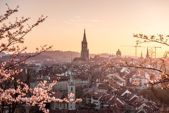 Sonnenuntergang w&auml;hrend Kirschbl&uuml;te in Bern mit Berner M&uuml;nster und Altstadt