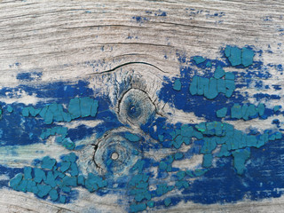The texture of an old blue wooden wall. Vintage background