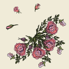 Rose pattern. Flowers. Postcard. Vector illustration.