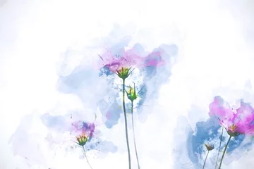 Schilderijen op glas Geschilderde Bloemen Digital watercolor painting of pink cosmos flowers  © pomiti