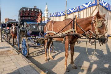 Fototapeta na wymiar A horse carriage wait for customers next to the River Nile in Edfu. Horse carriages are the commonly used for tourist transportation from cruises to Edfu Temple