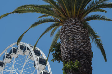 Ferris wheel at the V&A Waterfront, Cape Town