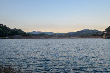 Natural forest floor Halabala National Park in southern Thailand