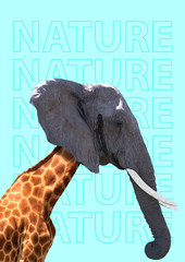 Teamwork can be different. In touch with wild nature - it may be friendly even if it's forest or...