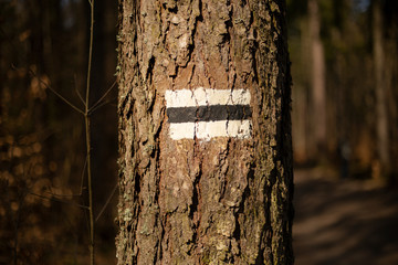 znak szlaku na drzewe © David0712