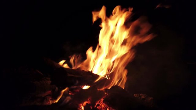 4K Video Defocus close up shot of Flames burning firewood. Bonfire in outdoors campfire on black background at night. 
