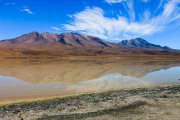 Laguna Colorada, means Red Lake is a shallow salt lake in the southwest of the Altiplano of Bolivia