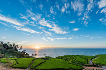 Beautiful Sunset View of Senmaida Rice paddy terrace Wajima Ishikawa Japan