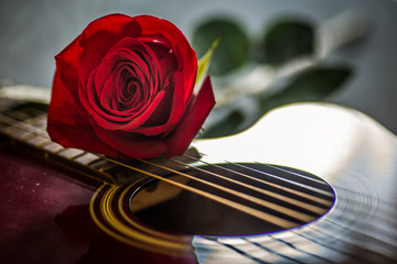 Rosa roja y guitarra 2