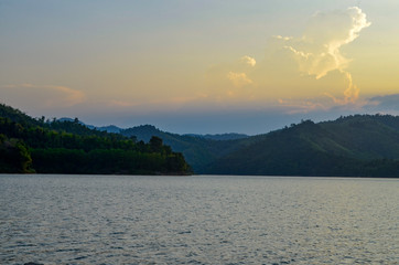 Natural forest floor Halabala National Park in southern Thailand