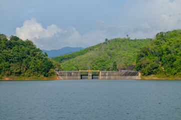 Natural forest floor Halabala National Park in southern Thailand