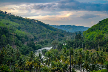 Obraz premium Natural forest floor Halabala National Park in southern Thailand