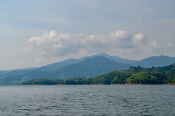 Natural forest floor Halabala National Park in southern Thailand