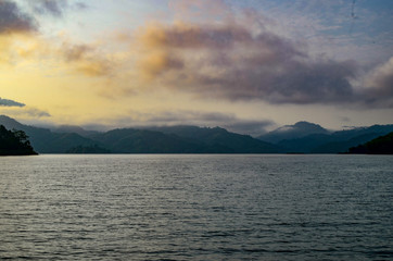 Fototapeta premium Natural forest floor Halabala National Park in southern Thailand