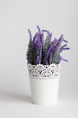 White vase with lavender flowers on a white background