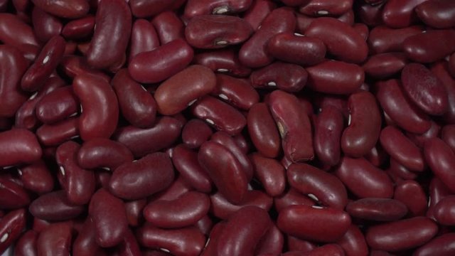 Alubia morada larga, girando