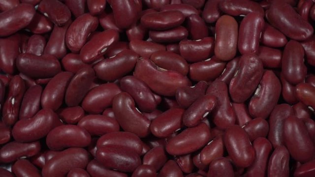 Alubia morada larga, girando