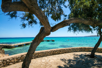 Meerblick mit Baumund Steg auf türkisfarbenes Wasser, Bucht vor Mallorca