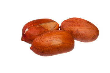 nut isolated on white background