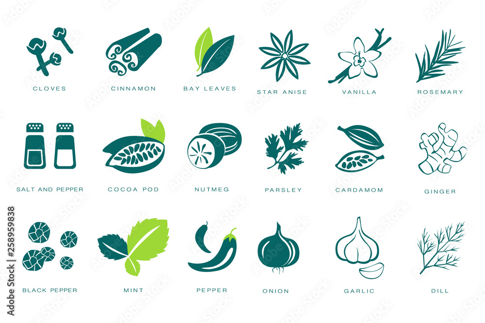 Poster fragrant spices linear icons set, seasonings with names vector illustrations on a white background