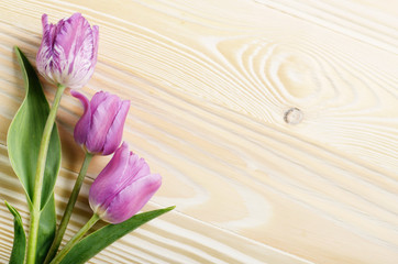 Bouquet of lilac tulips on natural wooden background with space for text